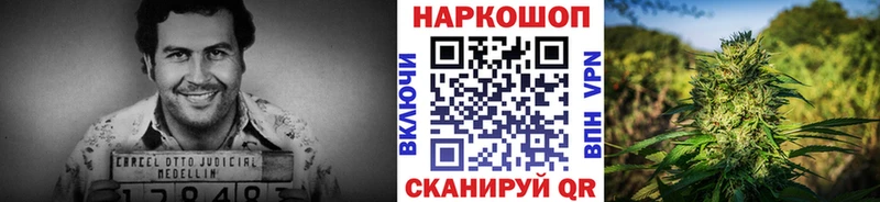 Где купить наркотики Нязепетровск ГАШ  Псилоцибиновые грибы  Мефедрон  КОКАИН 