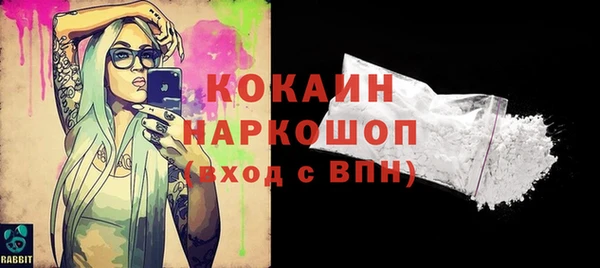 спиды Курчалой
