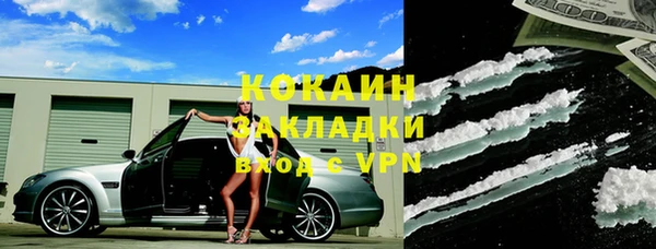 спиды Курчалой