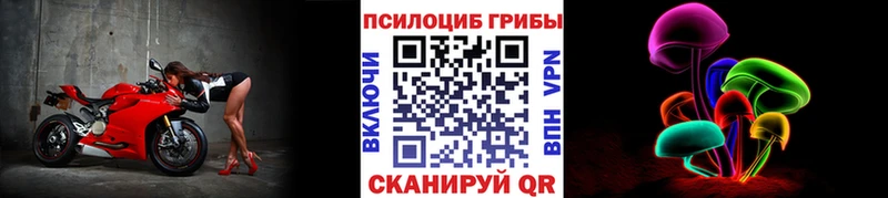 mega ссылки  Нязепетровск  Псилоцибиновые грибы Cubensis 